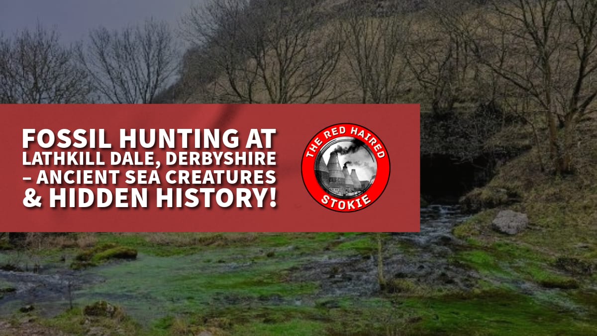 Fossil Hunting at Lathkill Dale, Derbyshire – Ancient Sea Creatures & Hidden History!